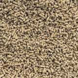 PALMER'S SHOW PIG 18 BMD 50# "TRIM"