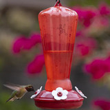 HOLLYHOCK HUMMINGBIRD FEEDER WITH BEE GUARD NECTAR PORT, 25oz