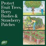 BIRD-X NETTING 14'X14', 5/8" MESH, PROTECTIVE NETTING FOR FRUIT