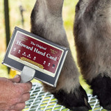 PREMIER SHEEP WOOL CARD #1