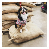 BURLAP DOG BED