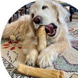 NATURAL COFFEE WOOD DOG CHEW, LARGE