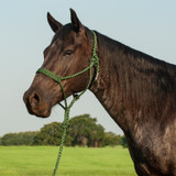 FLAT BRAID HALTER AND 9t LEAD ROPE