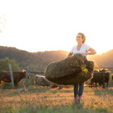 HAY NET, SQUARE BALE NYLON MESH (50") TEXAS HAY NET