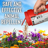 MESSINAS ANIMAL STOPPER, 2.5lb, RTU GRANULAR SHAKER JUG