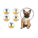 ZENPET E-CLEAR PLASTIC RECOVERY COLLAR