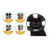 ZENPET ZENCONE SOFT RECOVERY COLLAR