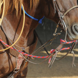 CALF ROPING PREMIUM JERKLINE, RED BODY WITH BLUE STRIPE