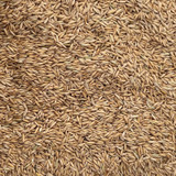 PALMER'S HEAVY RACE HORSE OATS 50#
