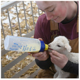 BOTTLE, LAMB W/PRITCHARD TEAT, 562700 PREMIER 1 SUPPLIES