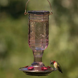 AMETHYST JEWEL HUMMINGBIRD FEEDER 20oz