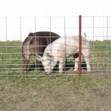 STOCK PANEL 34"X16' HOG PANEL