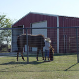 STOCK PANEL 4'X20' 2X4 6GA HORSE PANEL