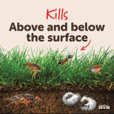 SEVIN 2% - 20# LAWN GRANULES