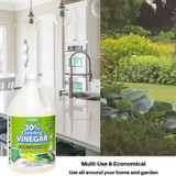 HARRIS VINEGAR 30% 1Gal, COMMERICAL GRADE