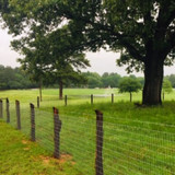 OKLAHOMA NON CLIMB 4' (2X4X12.5) 100' ROLL