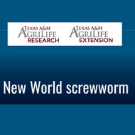 AgriLife Screwworm Information