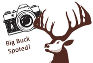 Big Buck Photo Shoot