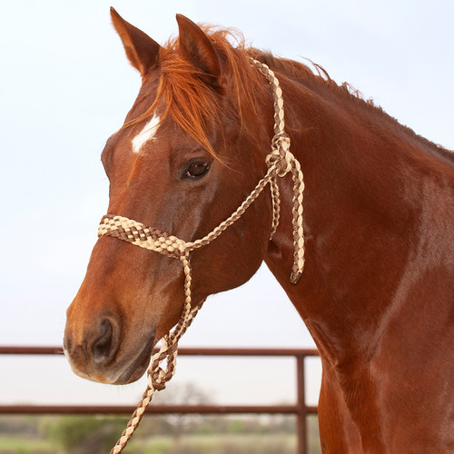 FLAT BRAID HALTER AND LEAD ROPE