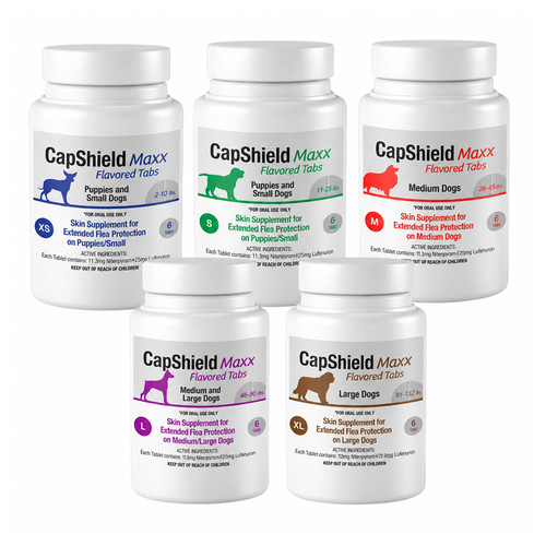 CAPSHIELD PLUS/MAX FOR DOGS, 6 TABLETS - ORAL USE