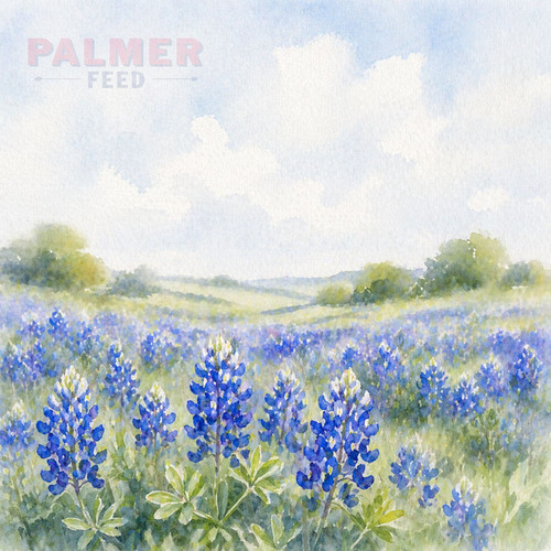 TEXAS BLUEBONNETS 1# PACKAGE, PURITY 98.96%, T0TAL GERM 96.00%