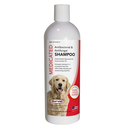 MEDICATED ANTIBACTERIAL & ANTIFUNGAL SHAMPOO 16oz
