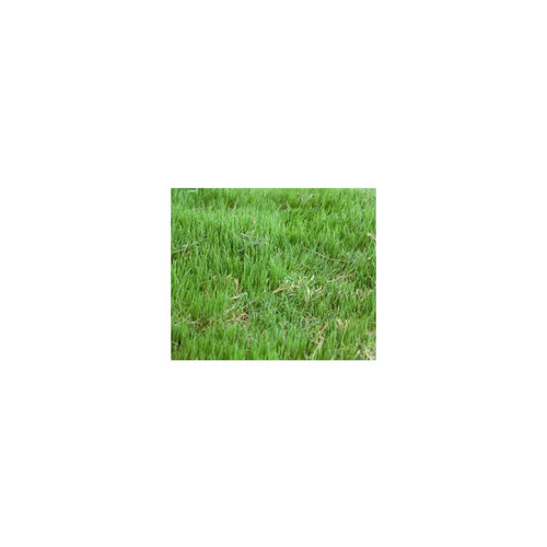 COMMON HULLED BERMUDA (98/85) RAW (lot# 223143) 1#