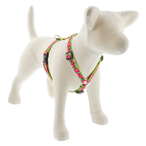 LUPINE, 3/4" 15-25" PETUNIAS, STEP IN HARNESS FOR DOGS LUPINE, 3/4" 15-25" PETUNIAS, STEP IN HARNESS FOR DOGS
