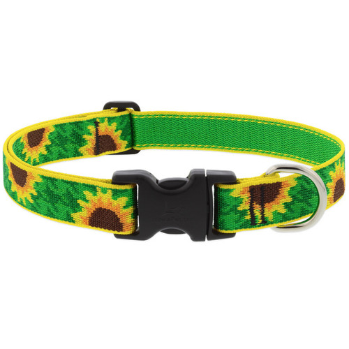 LUPINE, 1" 12-20" SUNFLOWERS, ADJUSTABLE DOG COLLAR