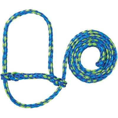 POLY ROPE SHEEP HALTER  LIME/HURRICANE BLUE/ROYAL BLUE