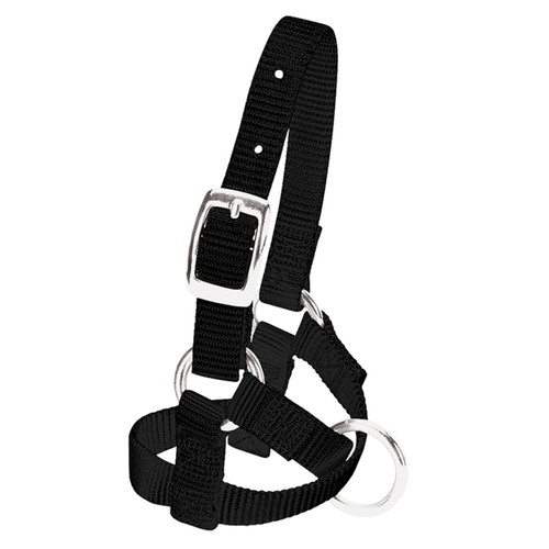 NYLON ALPACA HALTER MEDIUM BLACK