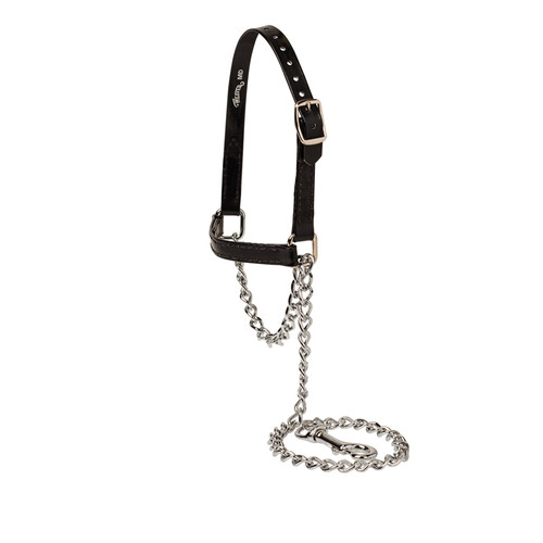 SHEEP & GOAT BRAHMA HALTER, MEDIUM, BLACK