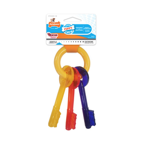 JUST FOR PUPPIES TEETHING CHEW TOY KEYS, BACON FLAVOR, SMALL/REGULAR - UP TO 25 lbs, NYLABONE
