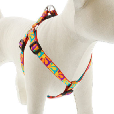 LUPINE, 3/4" 15-25" CRAZY DAISY, STEP IN HARNESS FOR DOGS