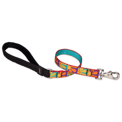 LUPINE, 3/4"X4' CRAZY DAISY, DOG LEASH