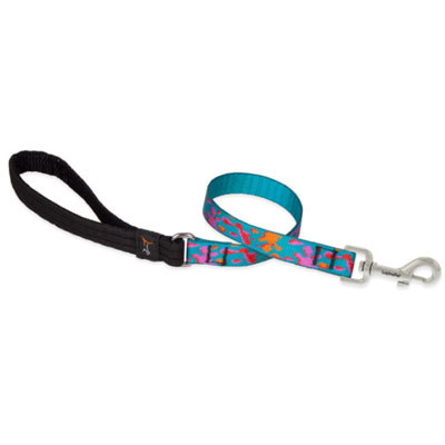 LUPINE, 3/4"X6' WET PAINT, DOG LEASH