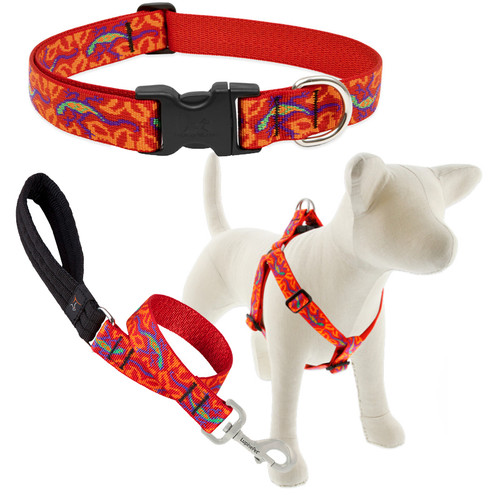 LUPINE, 1" GO GO GECKO