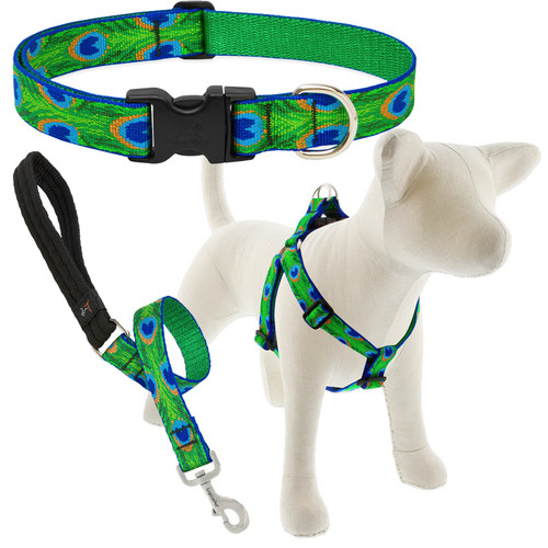 LUPINE, TAIL FEATHERS