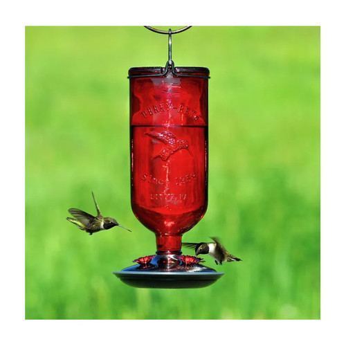 PERKY-PET RED ANTIQUE HUMMINGBIRD FEEDER BOTTLE