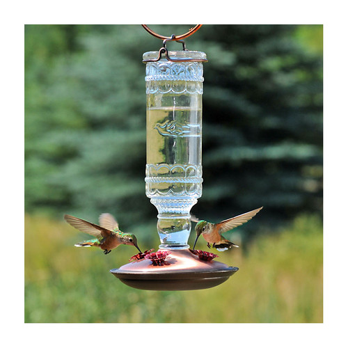 CLEAR ANTIQUE HUMMINGBIRD FEEDER BOTTLE 10oz
