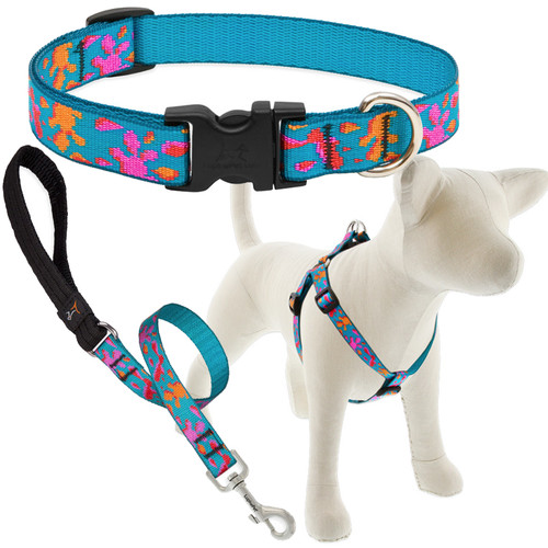 LUPINE, 3/4" WET PAINT