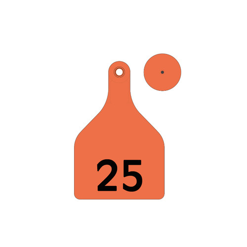 SHEARWELL TAGS XLARGE ORANGE 1-25