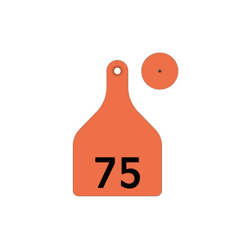 SHEARWELL TAGS XLARGE ORANGE 51-75