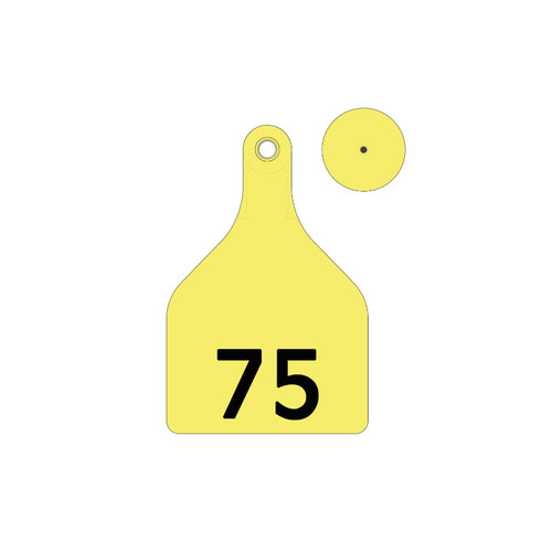 SHEARWELL TAGS XLARGE YELLOW 51-75