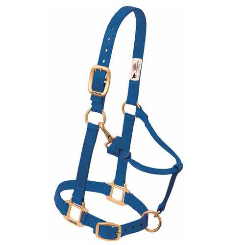 3/4" ORIGINAL ADJUSTABLE NYLON HORSE HALTER, SUCKLING, BLUE 35-1030-BL