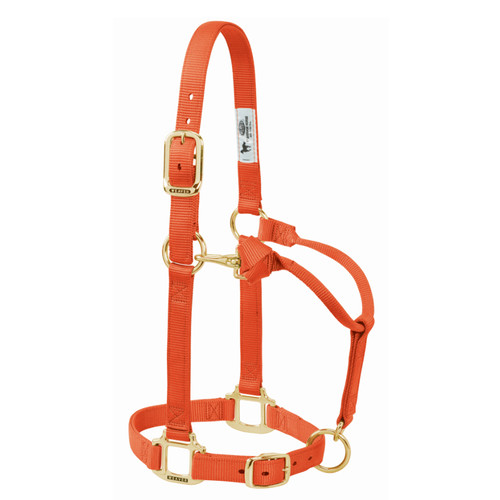 3/4" ORIGINAL ADJUSTABLE NYLON HORSE HALTER, SUCKLING, ORANGE 35-1030-OR