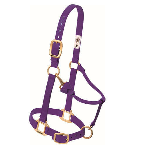 3/4" ORIGINAL ADJUSTABLE NYLON HORSE HALTER, WEANLING/PONY, PURPLE 35-1032-PU