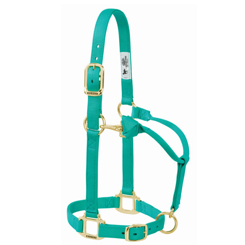 3/4" ORIGINAL ADJUSTABLE NYLON HORSE HALTER, WEANLING/PONY, EMERALD GREEN 35-1032-EG