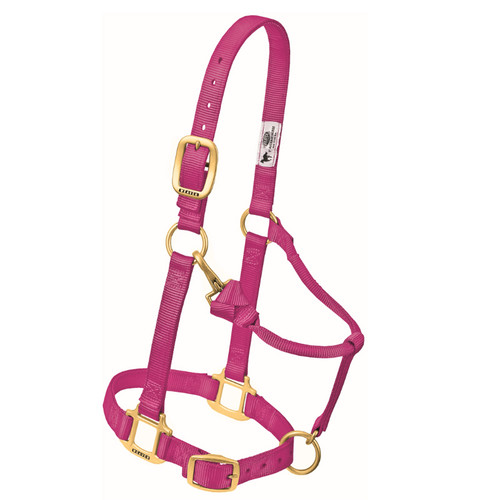 3/4" ORIGINAL ADJUSTABLE NYLON HORSE HALTER, WEANLING/PONY, RASPBERRY 35-1032-RA