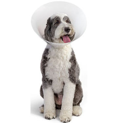 PIVETAL BAXTER CLEAR ELIZABETHAN COLLAR CONE 7.5CM